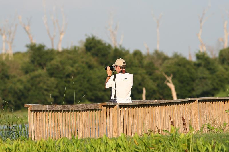 Rich photographing ibises.jpg